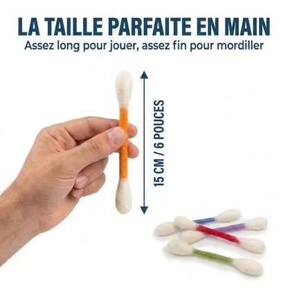 Lot de 6 Jouets Dentaires pour Chat – Divertissement & Bien-être au quotidien
