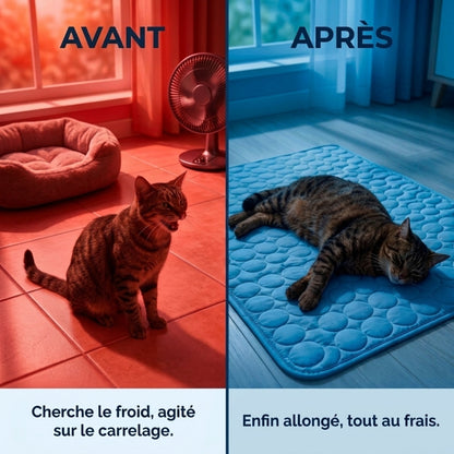 Tapis Rafraîchissant pour Chat – Offrez-lui un confort immédiat