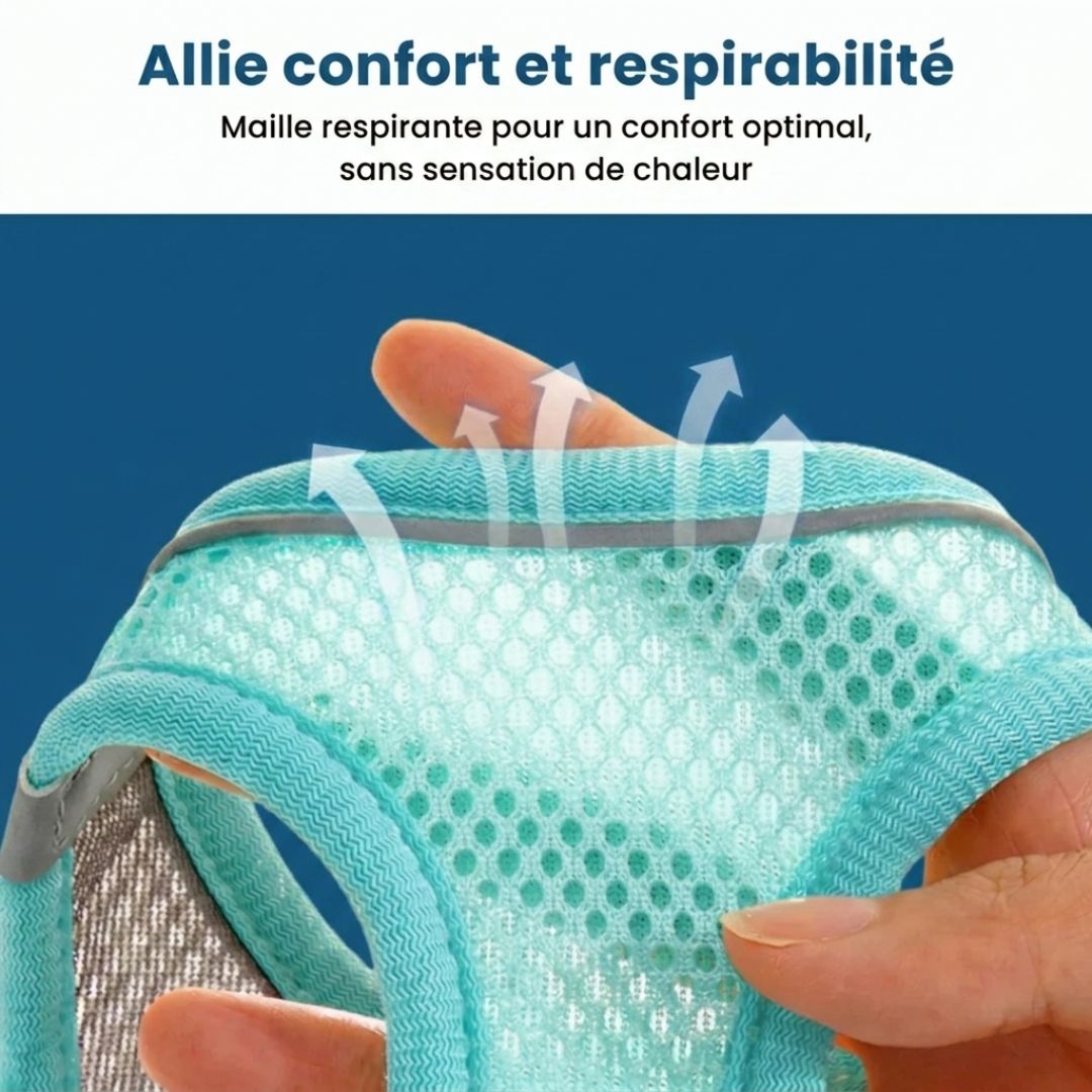 Confort et Sécurité : Harnais Anti-Fuite pour Chat avec Laisse Offerte