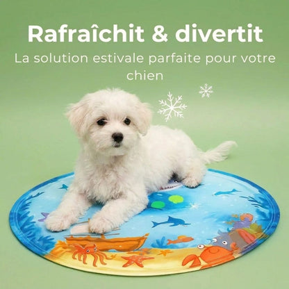 Tapis Aquafraîcheur pour Chats et chien – Offrez fraîcheur et jeu à votre félin