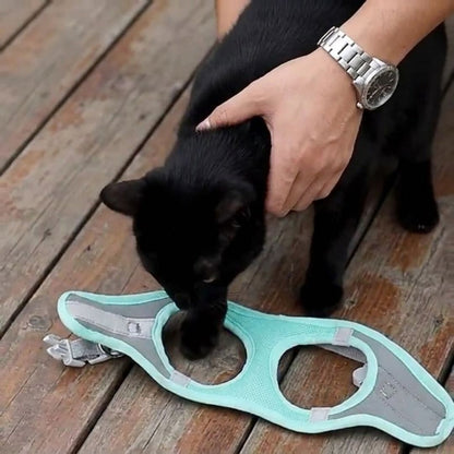 Confort et Sécurité : Harnais Anti-Fuite pour Chat avec Laisse Offerte