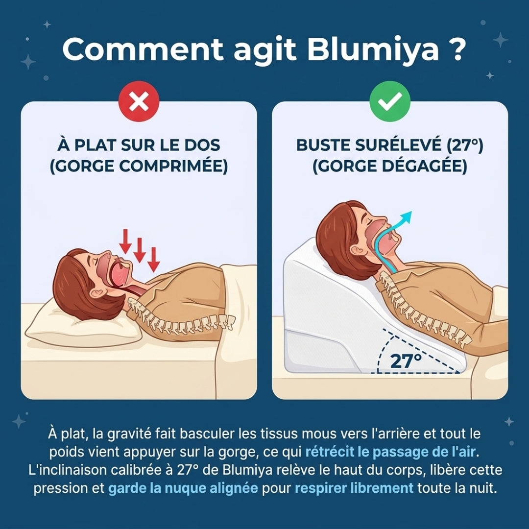 Oreiller Ergonomique – Le confort idéal pour des nuits plus reposantes