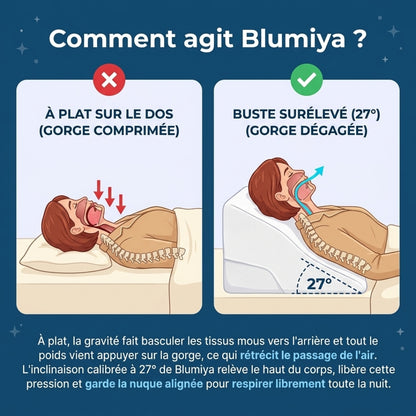 Oreiller Ergonomique – Le confort idéal pour des nuits plus reposantes