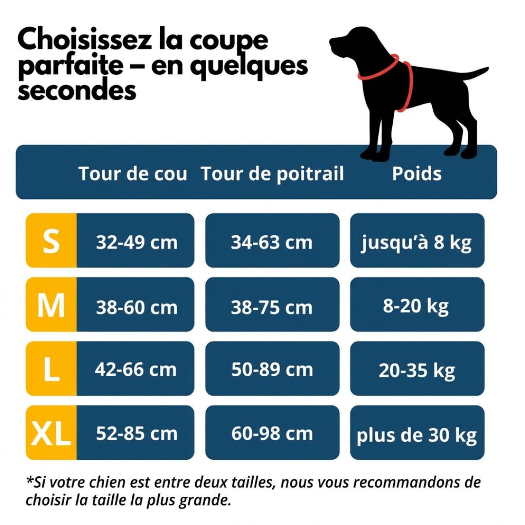 Harnais Anti-Traction – Promenez votre chien en toute sérénité