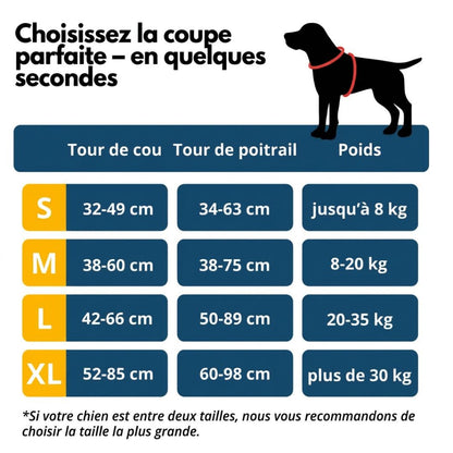 Harnais Anti-Traction – Promenez votre chien en toute sérénité