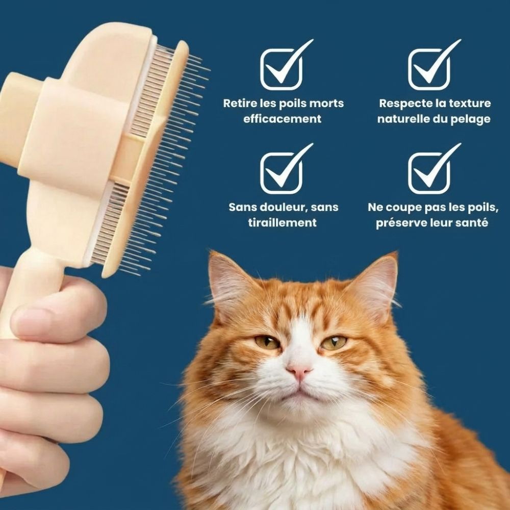 Brosse Anti-Poils Premium – Nettoyage Rapide & Doux pour Chats