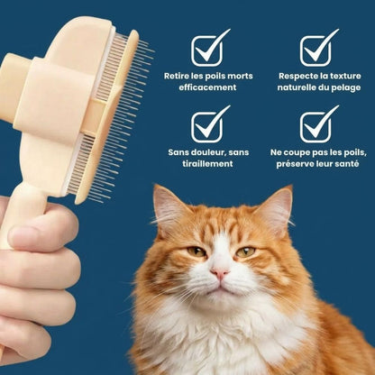 Brosse Anti-Poils Premium – Nettoyage Rapide & Doux pour Chats