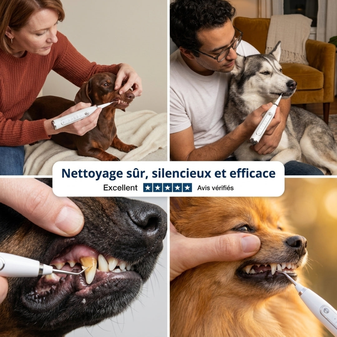 Nettoyeur Dentaire Ultrasonique pour chien – Une bouche plus saine