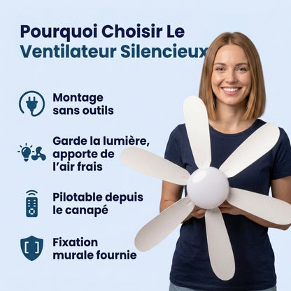 AeroLumi™ – Ventilateur plafond avec éclairage LED intégré