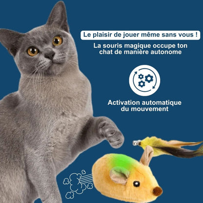 Souris Magique