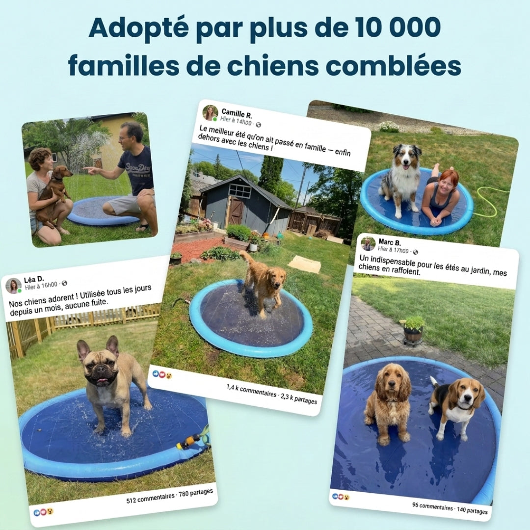 AquaPlay Cooling Mat – Rafraîchissez votre chien et transformez son été