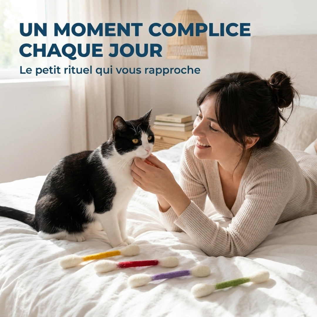 Lot de 6 Jouets Dentaires pour Chat – Divertissement & Bien-être au quotidien