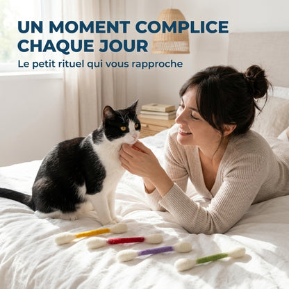 Lot de 6 Jouets Dentaires pour Chat – Divertissement & Bien-être au quotidien