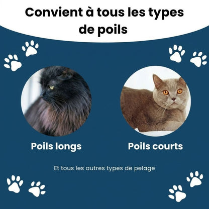 Brosse Anti-Poils Premium – Nettoyage Rapide & Doux pour Chats