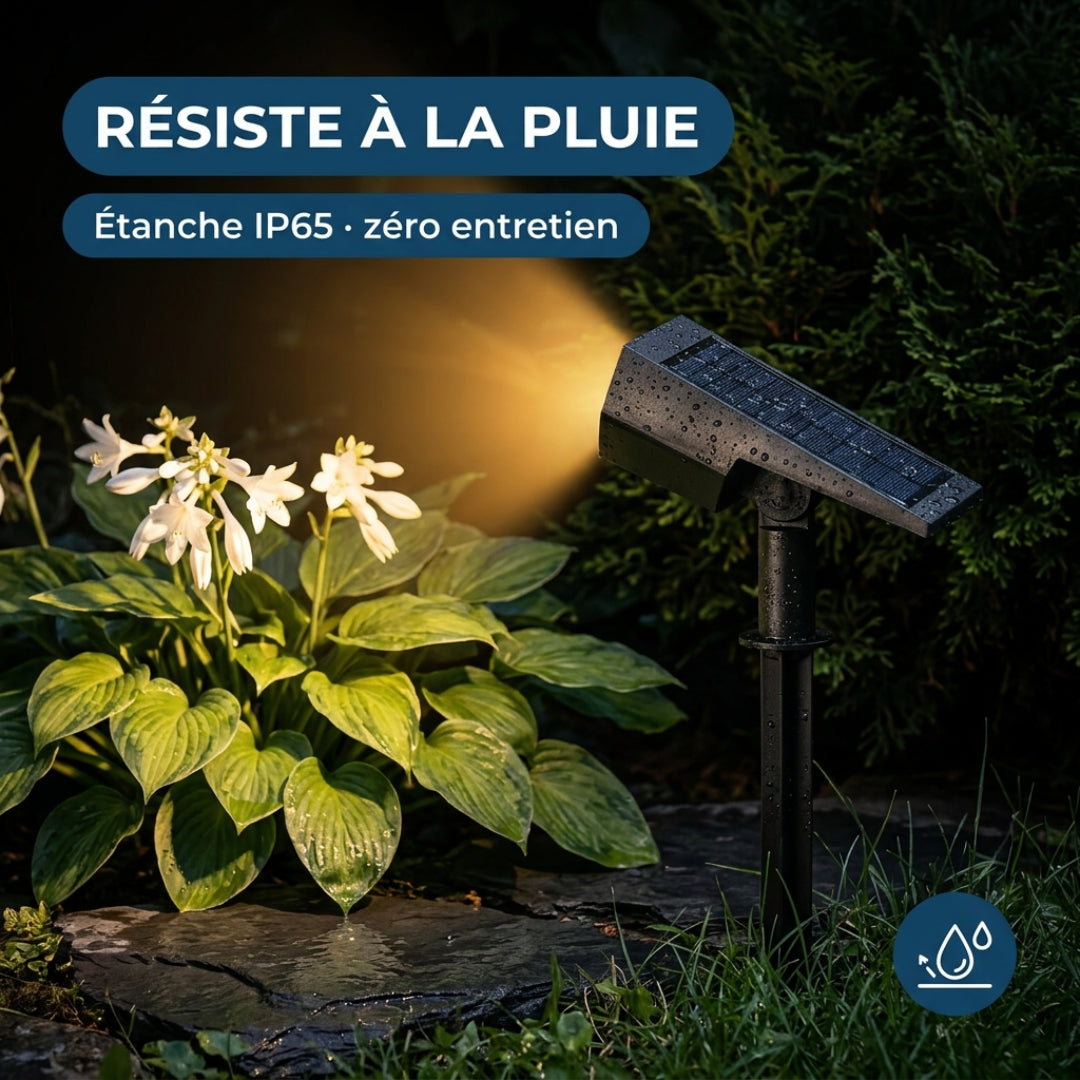 Projecteur solaire extérieur – Illuminez votre jardin sans effort