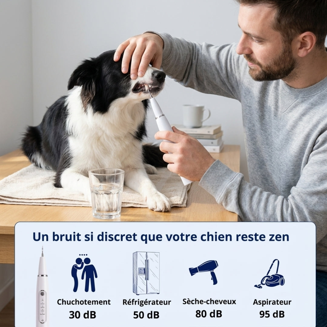 Nettoyeur Dentaire Ultrasonique pour chien – Une bouche plus saine