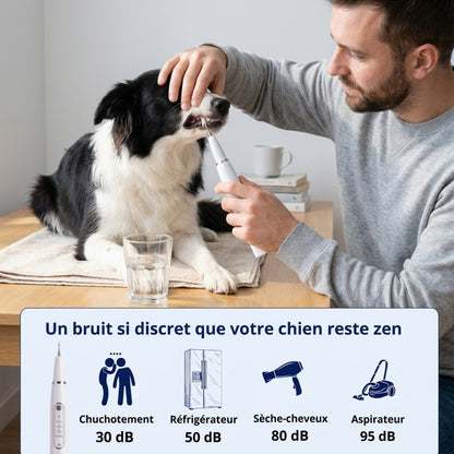 Nettoyeur Dentaire Ultrasonique pour chien – Une bouche plus saine