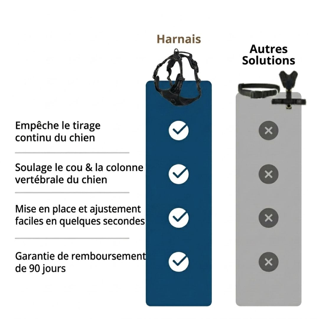 Harnais Anti-Traction – Promenez votre chien en toute sérénité