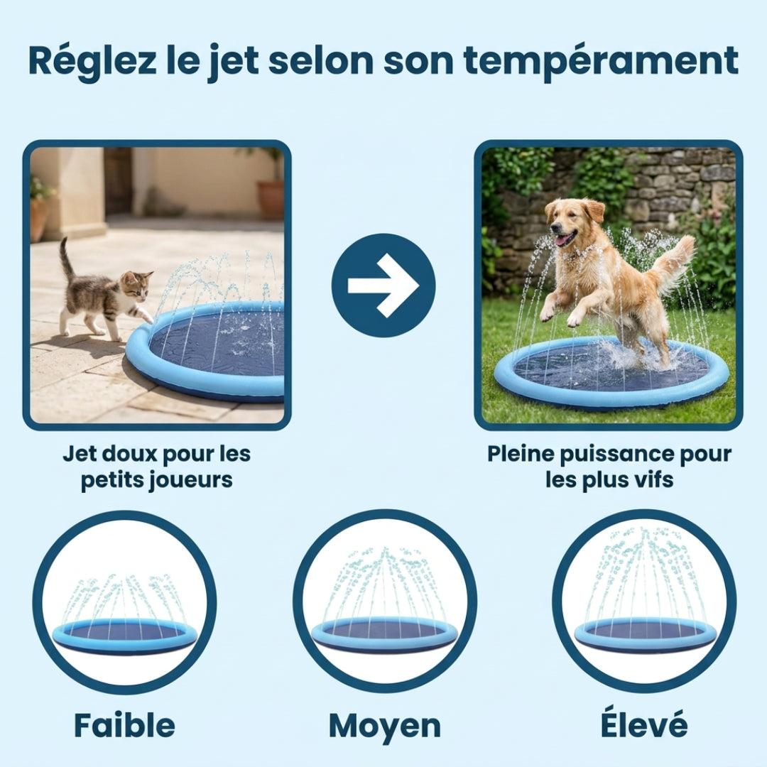 AquaPlay Cooling Mat – Rafraîchissez votre chien et transformez son été