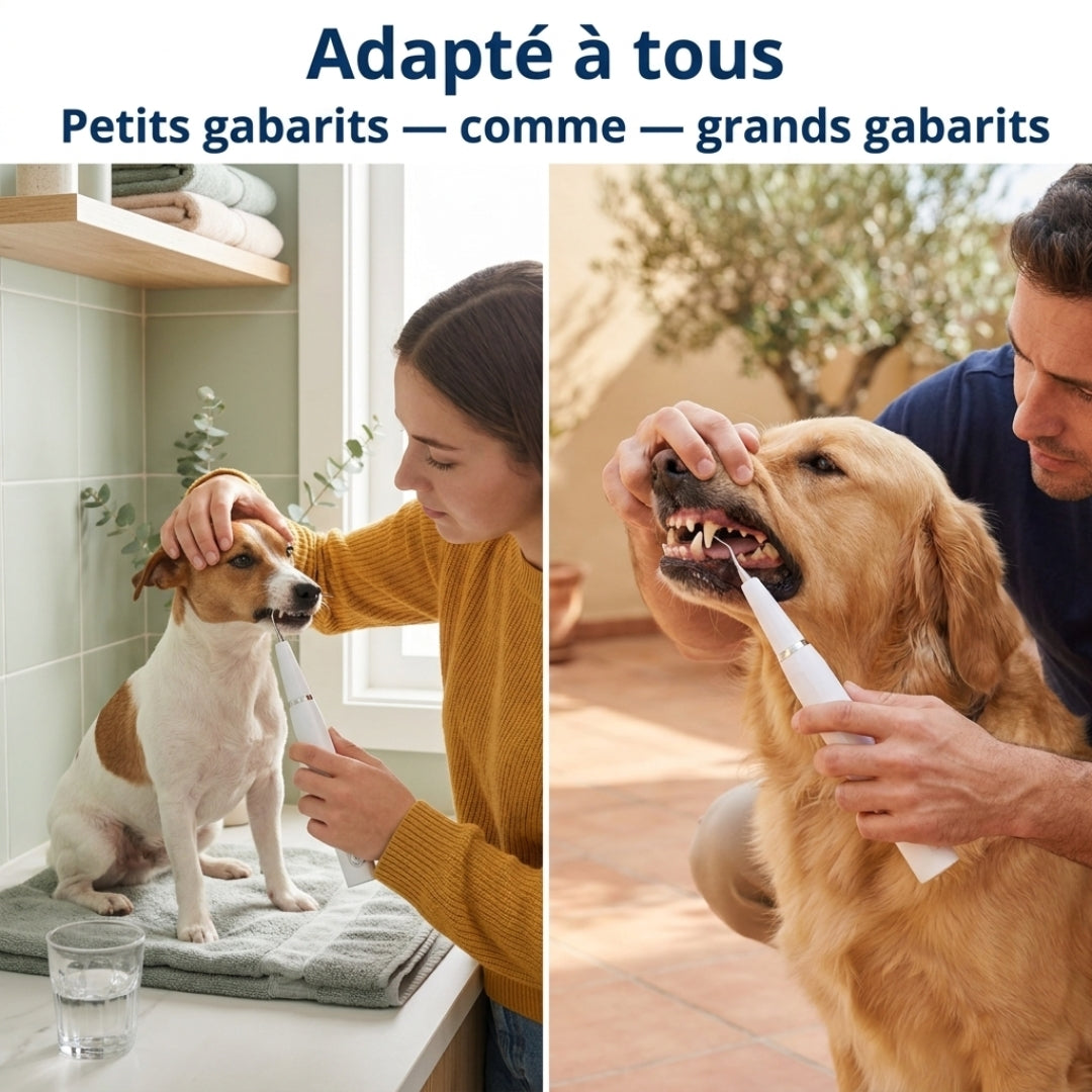 Nettoyeur Dentaire Ultrasonique pour chien – Une bouche plus saine