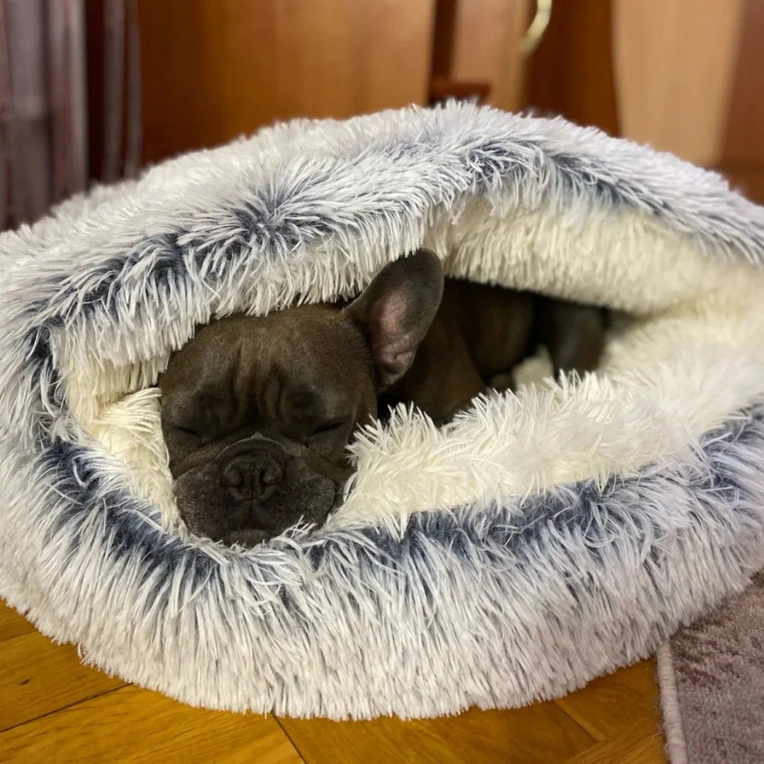 Nid Douillet Relax – Offrez-lui un cocon de confort et de sérénité