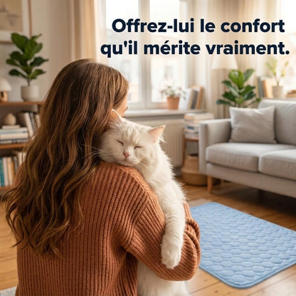 Tapis Rafraîchissant pour Chat – Offrez-lui un confort immédiat