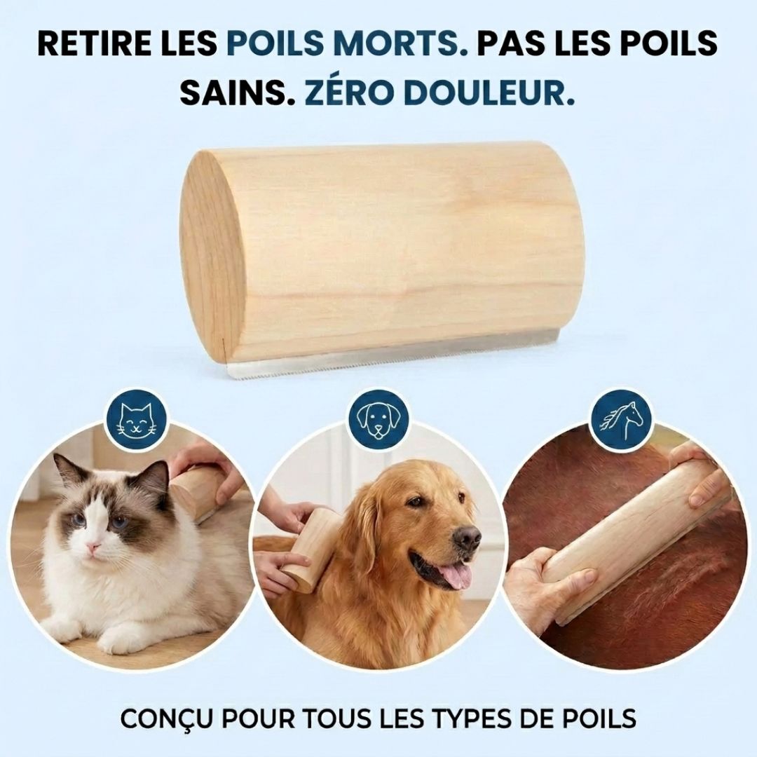 Brosse FluffCare™ – Retirez les poils morts, sans douleur