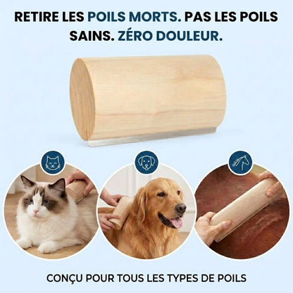 Brosse FluffCare™ – Retirez les poils morts, sans douleur