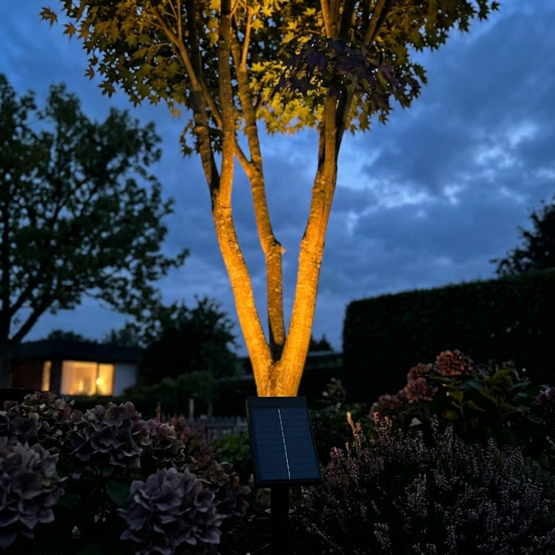 Projecteur solaire extérieur – Illuminez votre jardin sans effort