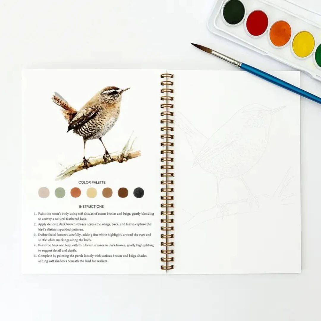 Kit Aquarelle ZenColor – Apprenez à peindre facilement, pas à pas