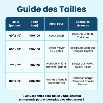 AquaPlay Cooling Mat – Rafraîchissez votre chien et transformez son été
