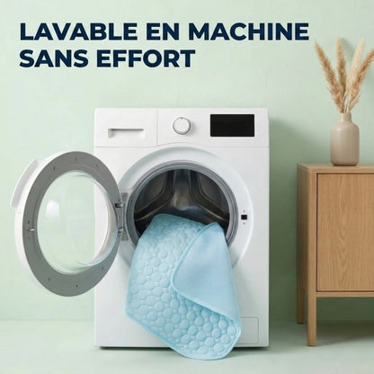 Tapis Rafraîchissant pour Chat – Offrez-lui un confort immédiat