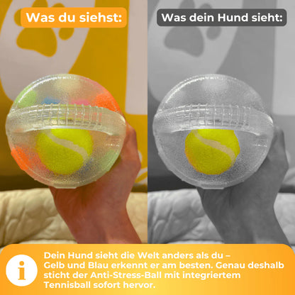 Anti-Langeweile-Ball – Für mehr Ruhe & Spaß im Alltag