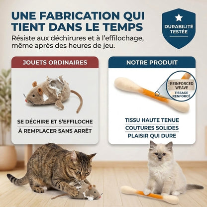Lot de 6 Jouets Dentaires pour Chat – Divertissement & Bien-être au quotidien