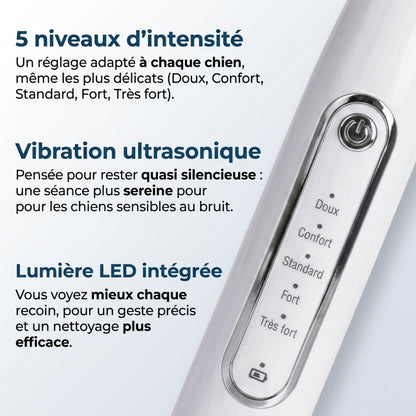 Nettoyeur Dentaire Ultrasonique pour chien – Une bouche plus saine