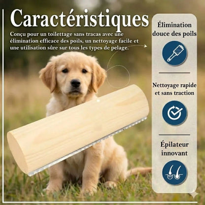 Brosse FluffCare™ – Retirez les poils morts, sans douleur