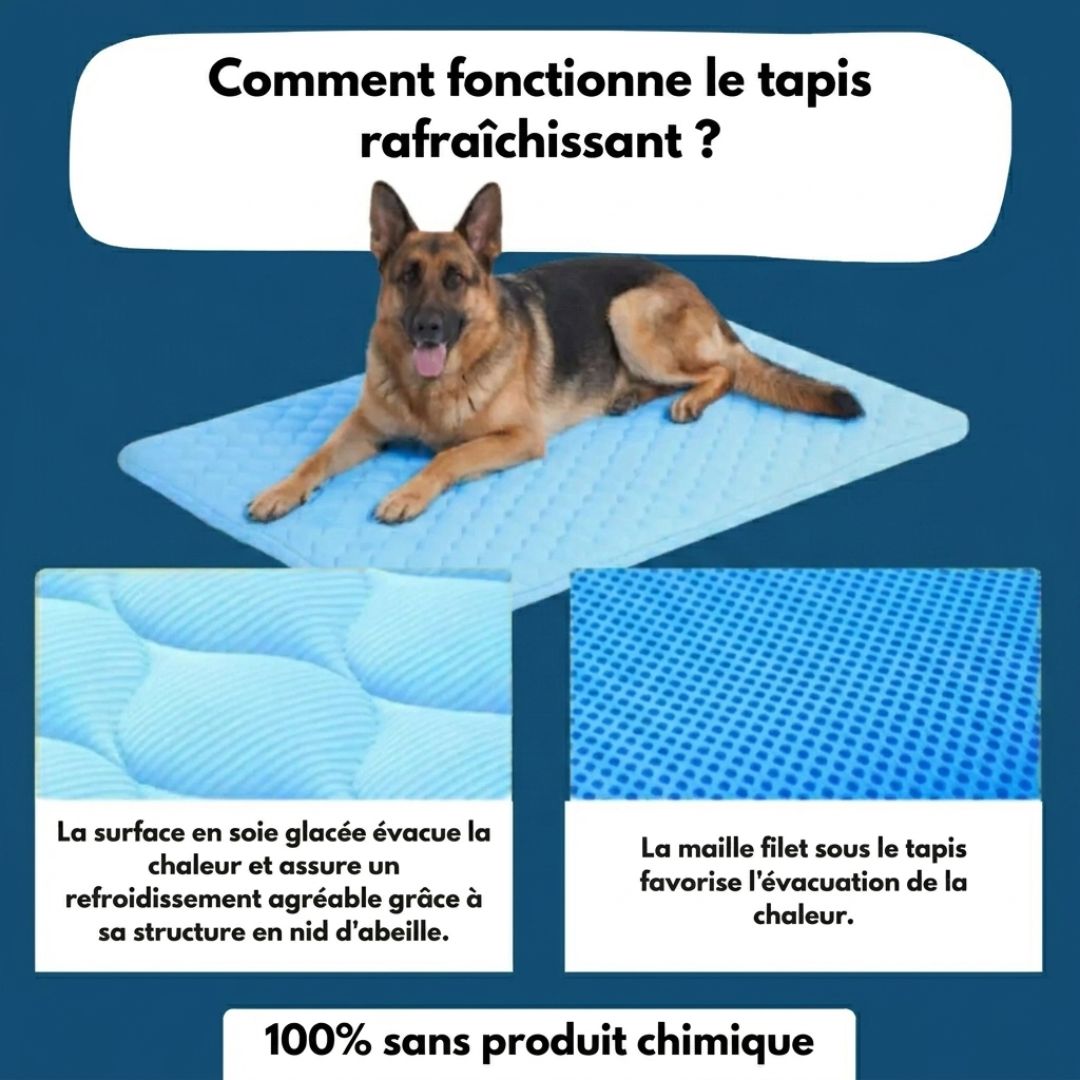 Tapis Fraîcheur pour Chien – Offrez à votre compagnon un été au frais