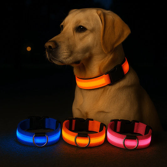 Collier LED pour chien – Assurez la sécurité de votre compagnon