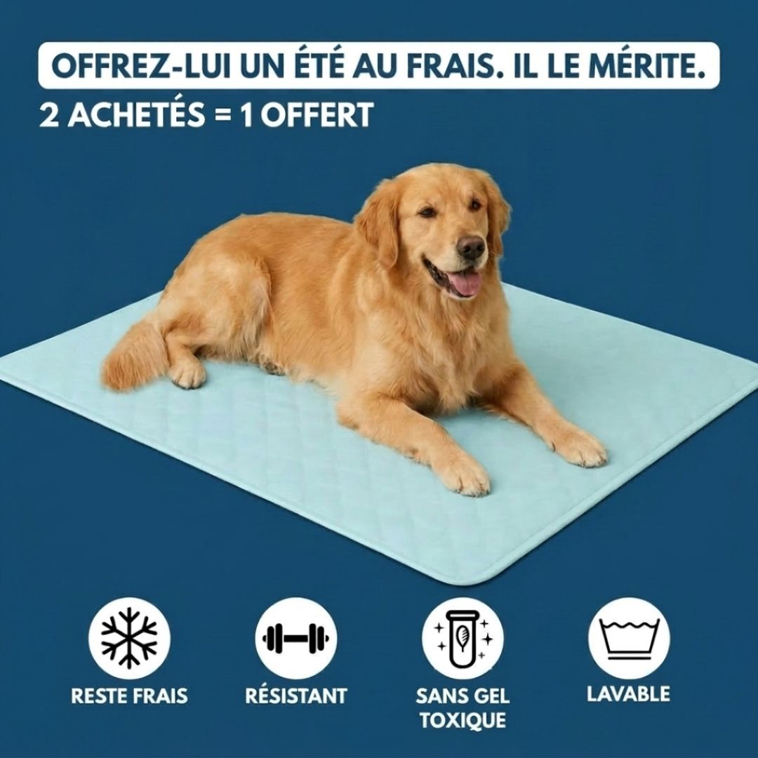 Tapis Fraîcheur pour Chien – Offrez à votre compagnon un été au frais