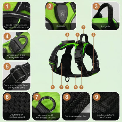 GlowGuard – Sécurité et visibilité pour les sorties nocturnes