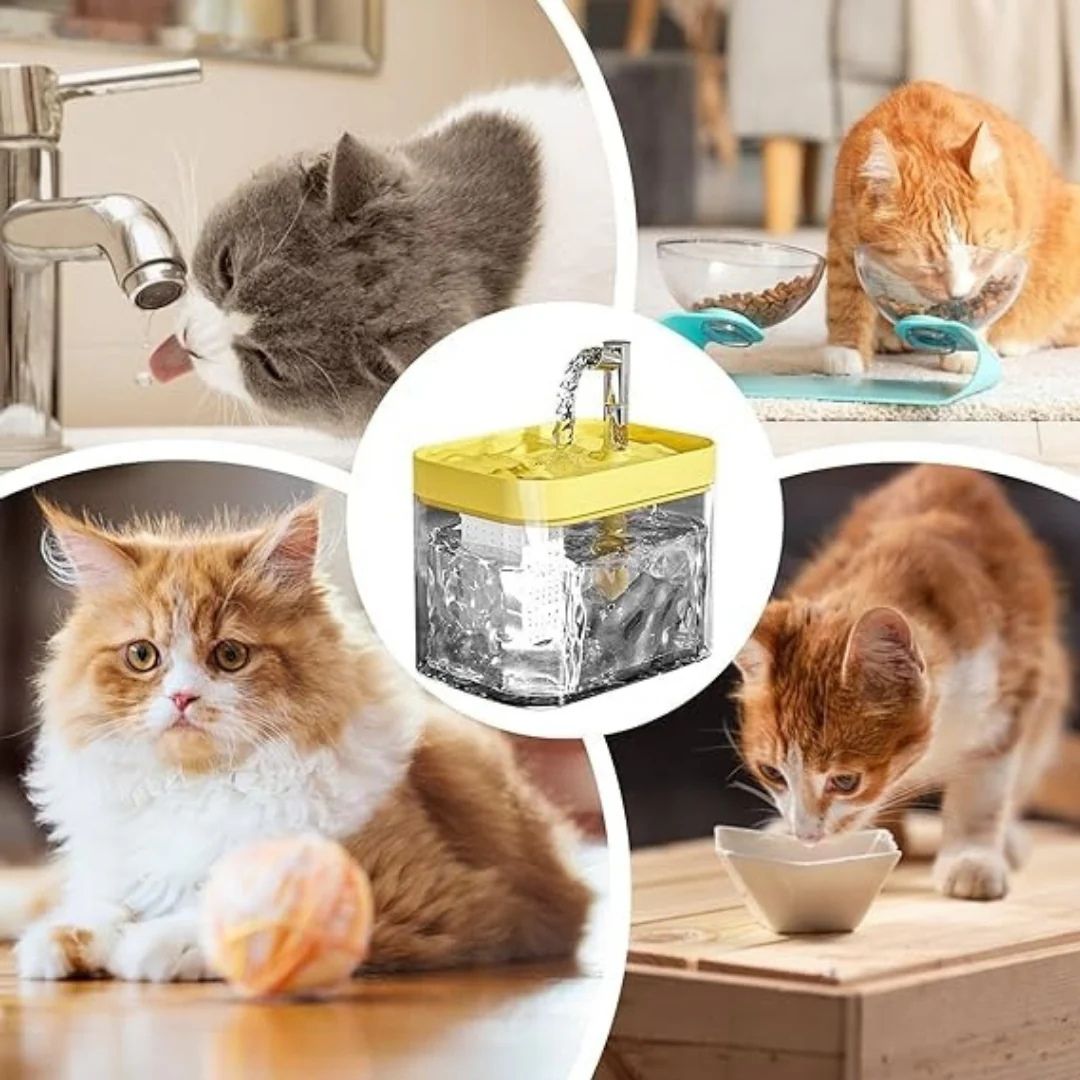 PureSource™ – Fontaine à eau premium pour une hydratation saine du chat