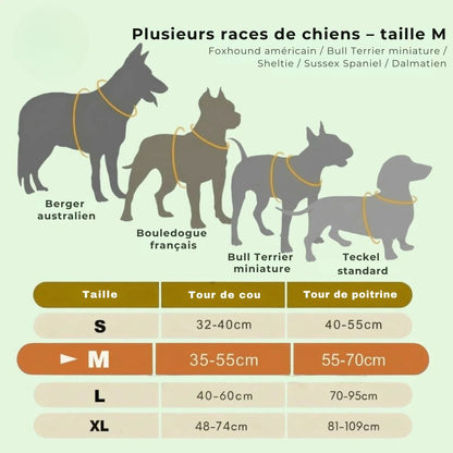GlowGuard – Sécurité et visibilité pour les sorties nocturnes
