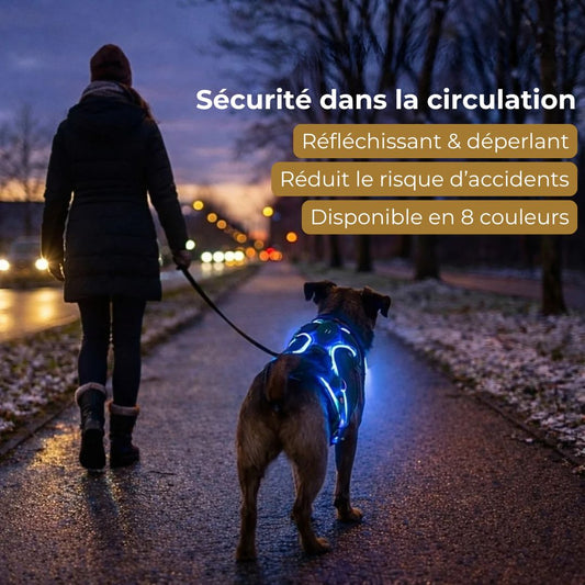 GlowGuard – Sécurité et visibilité pour les sorties nocturnes