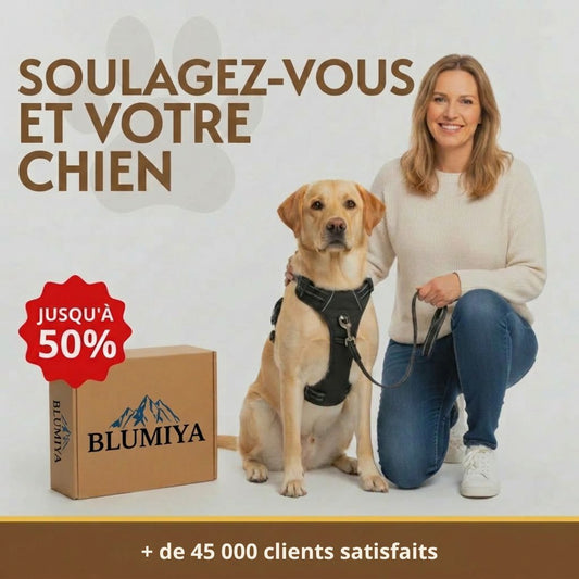 Harnais Anti-Traction – Promenez votre chien en toute sérénité