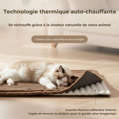 Tapis CocoonWarm – Chaleur naturelle pour chien & chat