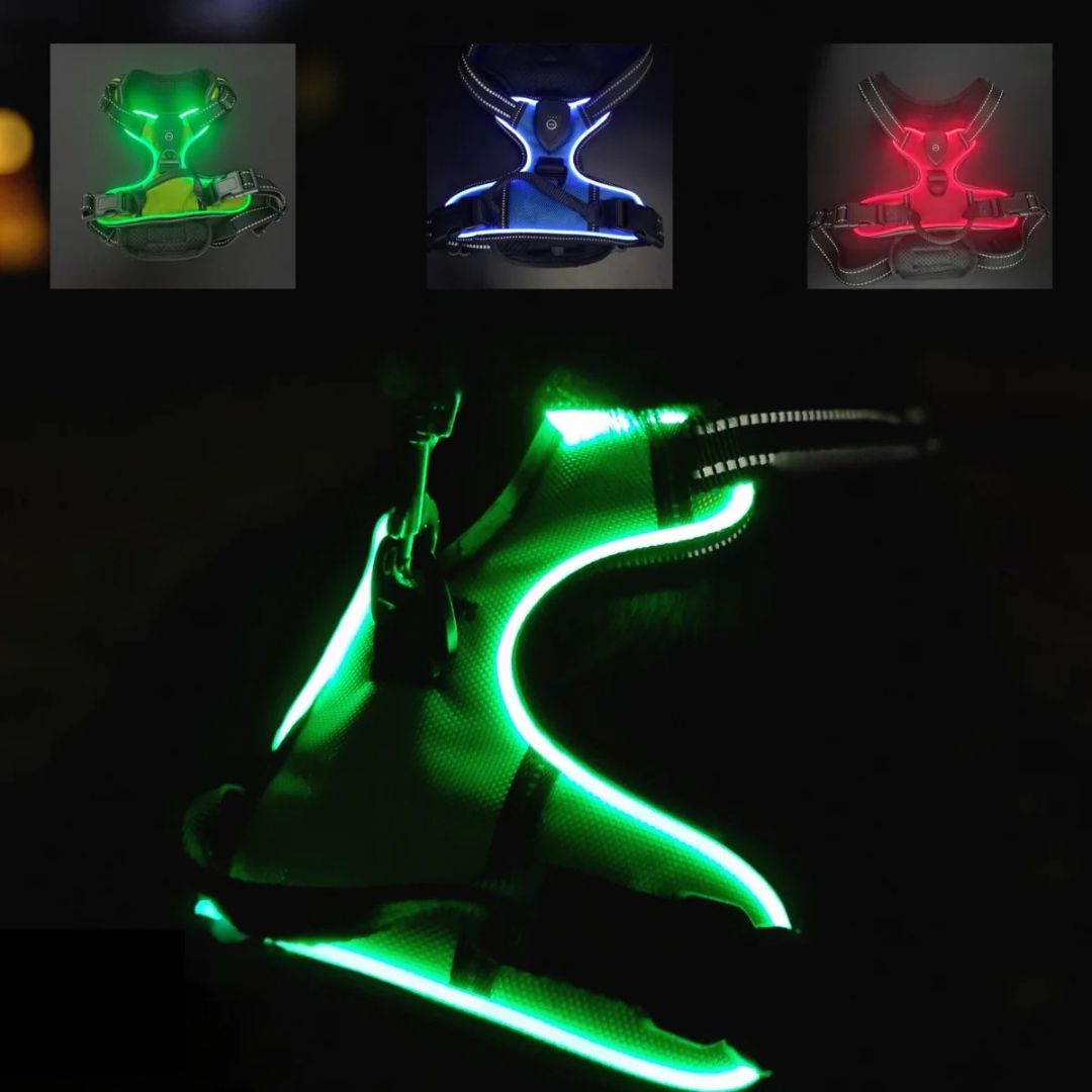 GlowGuard – Sécurité et visibilité pour les sorties nocturnes