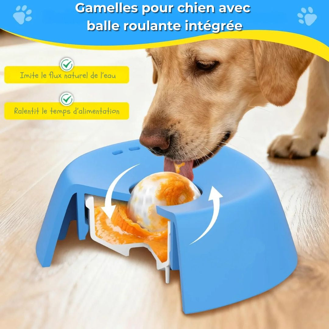 Gamelle anti-glouton pour chien – Des repas plus calmes, sans dégâts