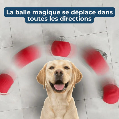 Power-Ball – La Balle Interactive Inarrêtable