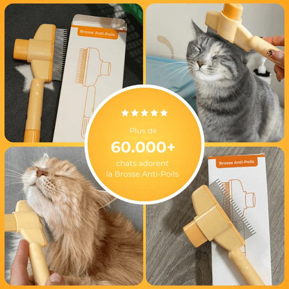 Brosse Anti-Poils Premium – Nettoyage Rapide & Doux pour Chats