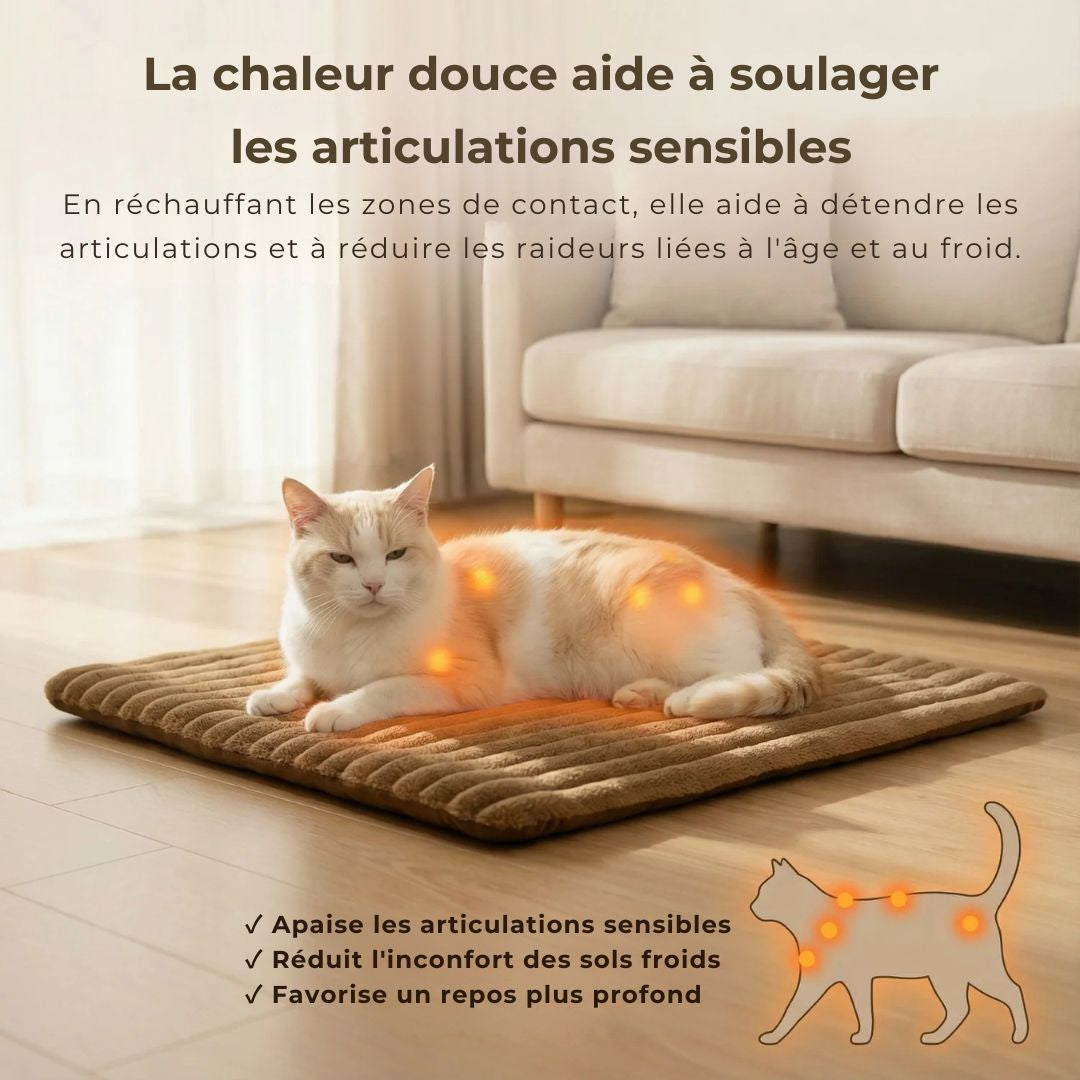 Tapis CocoonWarm – Chaleur naturelle pour chien & chat